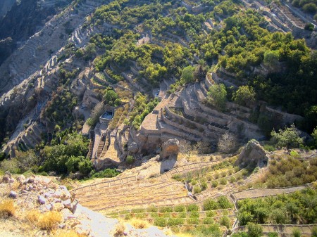 Am Jebel Akhdar