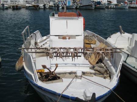 21. Am Hafen von Naoussa, hier trocknet der Oktopus