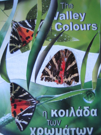 9. Im Tal der Schmetterlinge, Collage   001 (2)